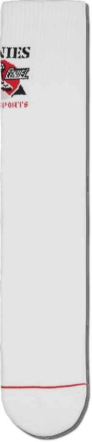 Etnies White REBEL SPORTS CREW SOCK