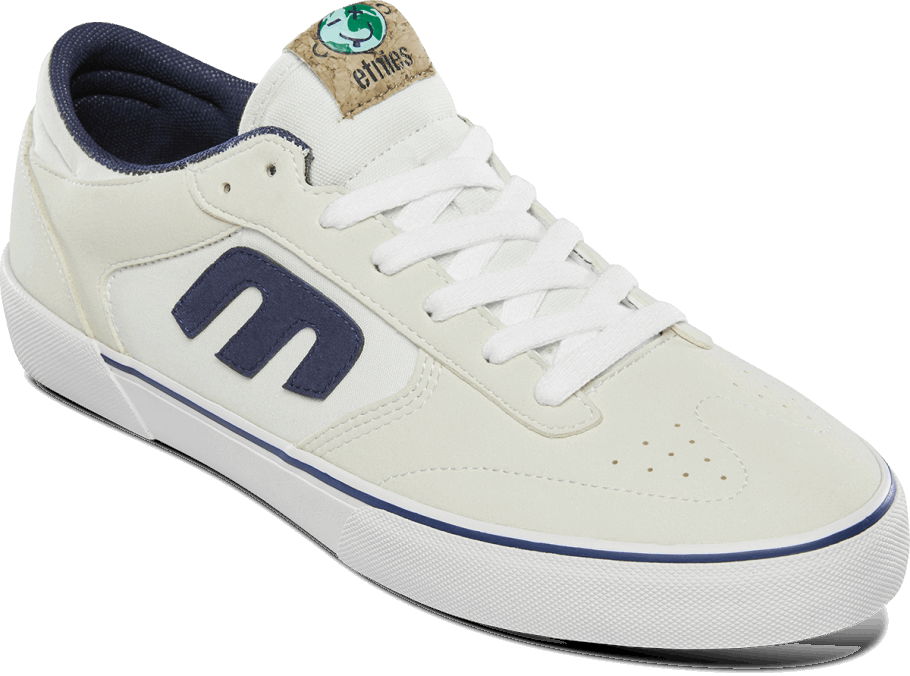 WINDROW VULC X EARTH DAY White/Blue Etnies